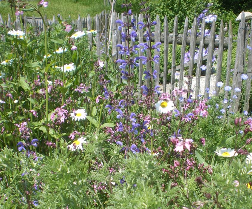 Insektenfreundlicher Garten BUND Naturschutz in Bayern e.V.