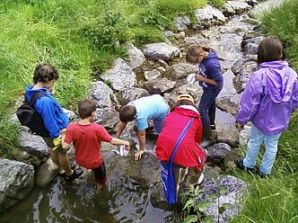 Bachexkursion in Scheidegg