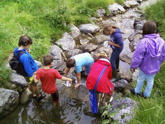 Bachexkursion in Scheidegg